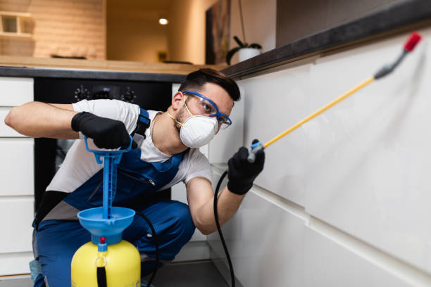 Best Wasp Removal Services  in North Tunica, MS