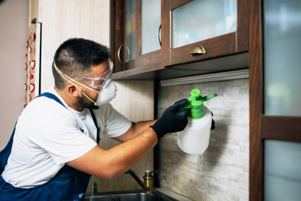 Best Affordable Pest Control Services  in North Tunica, MS