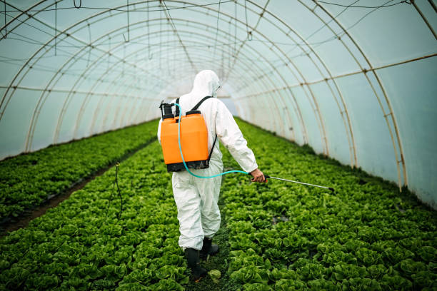 Best Residential Pest Control  in North Tunica, MS