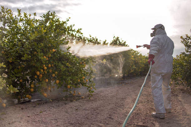 Best Cockroach Control Services  in North Tunica, MS