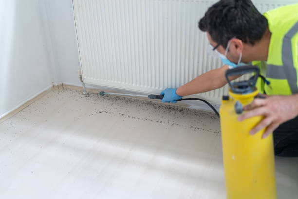 Best Pest Prevention Services  in North Tunica, MS